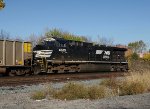 NS 4625